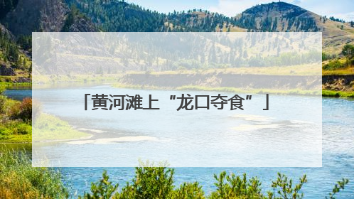 黄河滩上“龙口夺食”