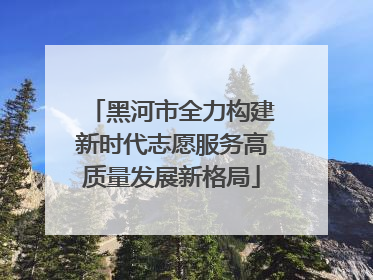 黑河市全力构建新时代志愿服务高质量发展新格局