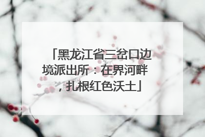 黑龙江省三岔口边境派出所：在界河畔，扎根红色沃土