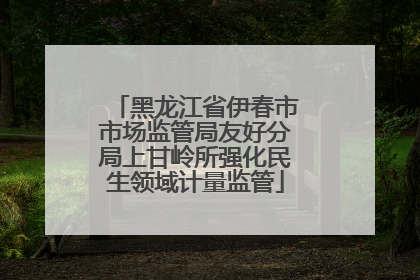 黑龙江省伊春市市场监管局友好分局上甘岭所强化民生领域计量监管