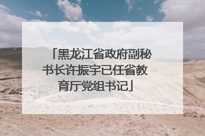 黑龙江省政府副秘书长许振宇已任省教育厅党组书记