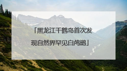 黑龙江千鹤岛首次发现自然界罕见白鸬鹚