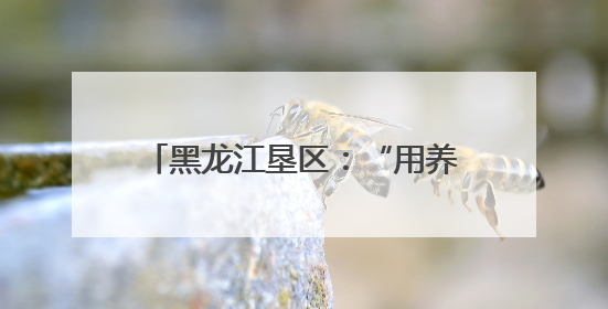 黑龙江垦区：“用养结合”保护黑土地