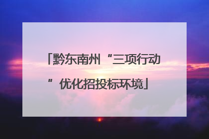 黔东南州“三项行动”优化招投标环境