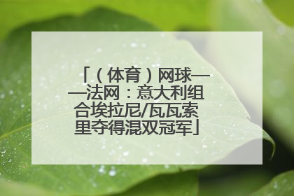（体育）网球——法网：意大利组合埃拉尼/瓦瓦索里夺得混双冠军