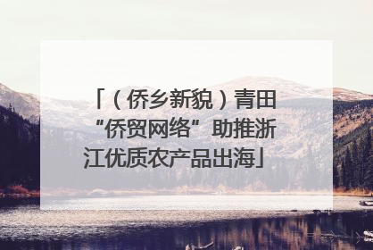 （侨乡新貌）青田“侨贸网络”助推浙江优质农产品出海