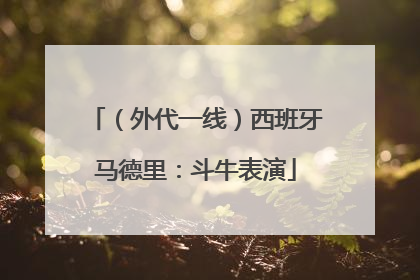 （外代一线）西班牙马德里：斗牛表演