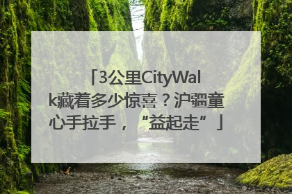 3公里CityWalk藏着多少惊喜？沪疆童心手拉手，“益起走”