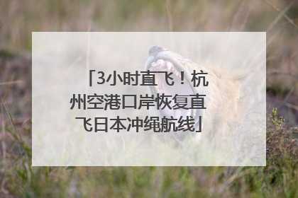 3小时直飞！杭州空港口岸恢复直飞日本冲绳航线