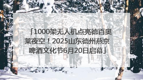 1000架无人机点亮德百奥莱夜空！2025山东德州燕京啤酒文化节6月20日启幕