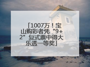 1007万！宝山购彩者凭“9+2”复式票中得大乐透一等奖