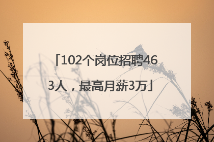 102个岗位招聘463人，最高月薪3万