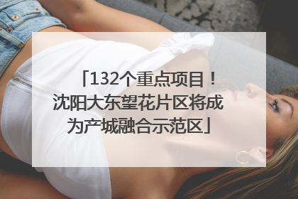 132个重点项目！沈阳大东望花片区将成为产城融合示范区