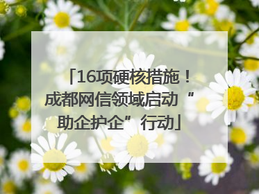 16项硬核措施！成都网信领域启动“助企护企”行动