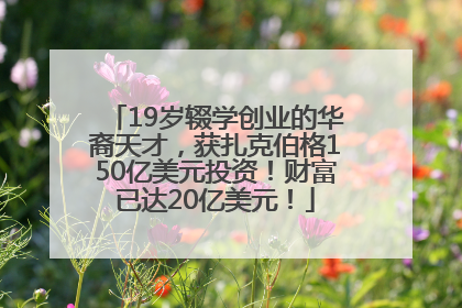 19岁辍学创业的华裔天才，获扎克伯格150亿美元投资！财富已达20亿美元！
