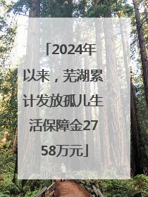 2024年以来，芜湖累计发放孤儿生活保障金2758万元
