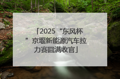 2025“东风杯”京堰新能源汽车拉力赛圆满收官