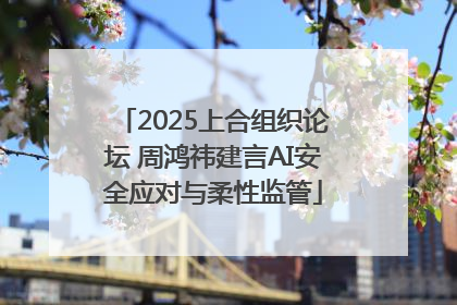 2025上合组织论坛 周鸿祎建言AI安全应对与柔性监管