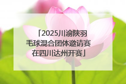 2025川渝陕羽毛球混合团体邀请赛在四川达州开赛