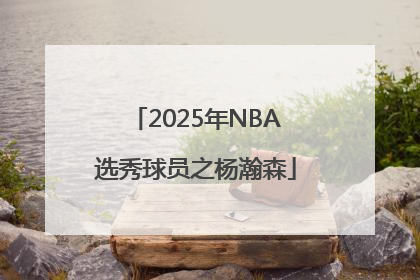 2025年NBA选秀球员之杨瀚森