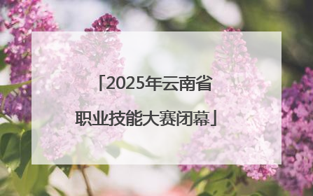 2025年云南省职业技能大赛闭幕