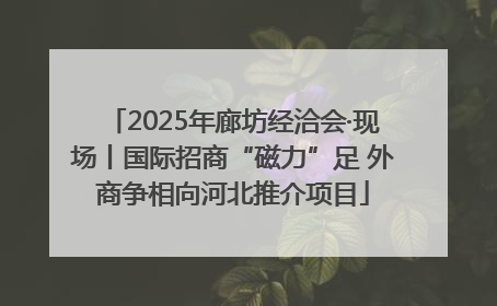 2025年廊坊经洽会·现场丨国际招商“磁力”足 外商争相向河北推介项目