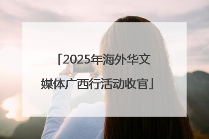 2025年海外华文媒体广西行活动收官