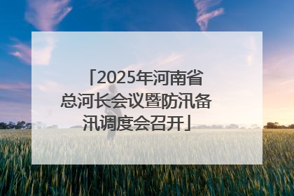 2025年河南省总河长会议暨防汛备汛调度会召开
