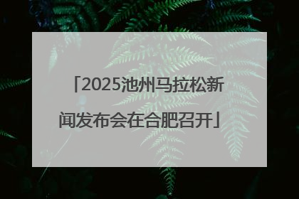 2025池州马拉松新闻发布会在合肥召开