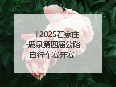 2025石家庄·鹿泉第四届公路自行车赛开赛