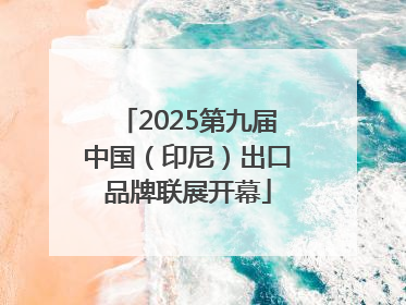 2025第九届中国（印尼）出口品牌联展开幕