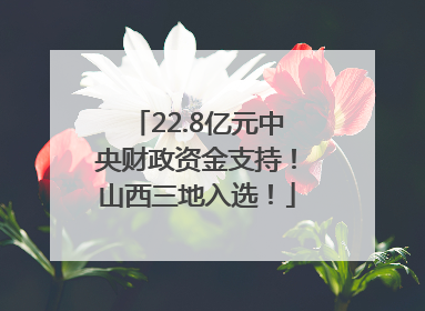 22.8亿元中央财政资金支持！山西三地入选！