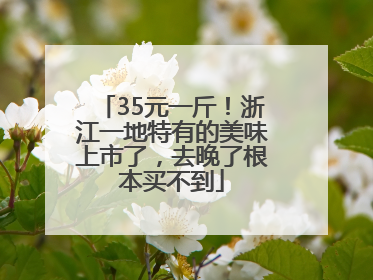 35元一斤！浙江一地特有的美味上市了，去晚了根本买不到
