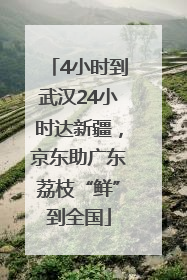 4小时到武汉24小时达新疆，京东助广东荔枝“鲜”到全国