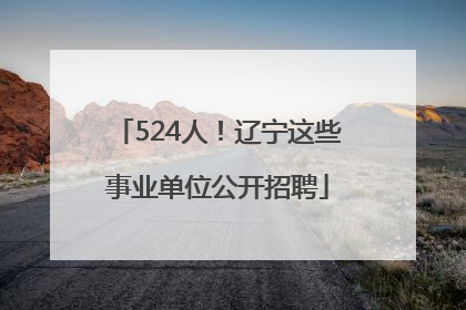 524人！辽宁这些事业单位公开招聘