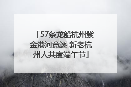57条龙船杭州紫金港河竞逐 新老杭州人共度端午节