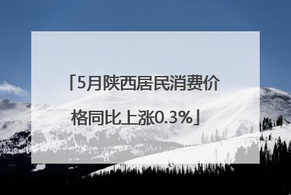 5月陕西居民消费价格同比上涨0.3%