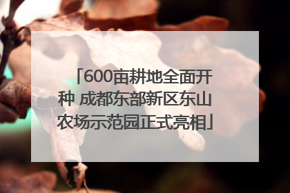 600亩耕地全面开种 成都东部新区东山农场示范园正式亮相