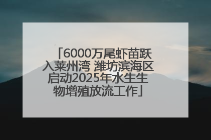 6000万尾虾苗跃入莱州湾 潍坊滨海区启动2025年水生生物增殖放流工作
