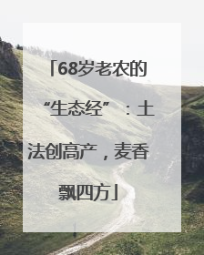 68岁老农的“生态经”：土法创高产，麦香飘四方
