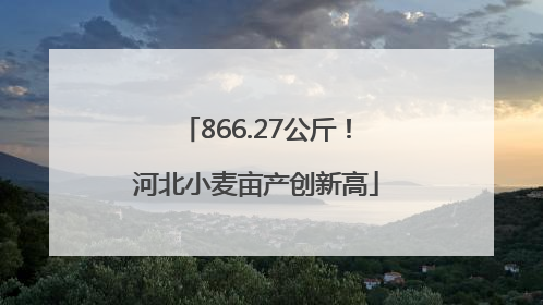 866.27公斤！河北小麦亩产创新高