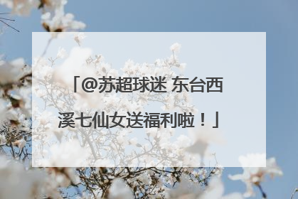 @苏超球迷 东台西溪七仙女送福利啦！