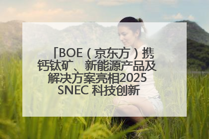 BOE（京东方）携钙钛矿、新能源产品及解决方案亮相2025 SNEC 科技创新赋能行业绿色发展