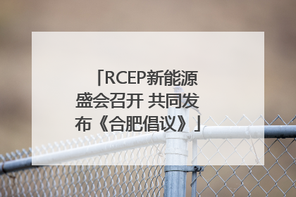 RCEP新能源盛会召开 共同发布《合肥倡议》